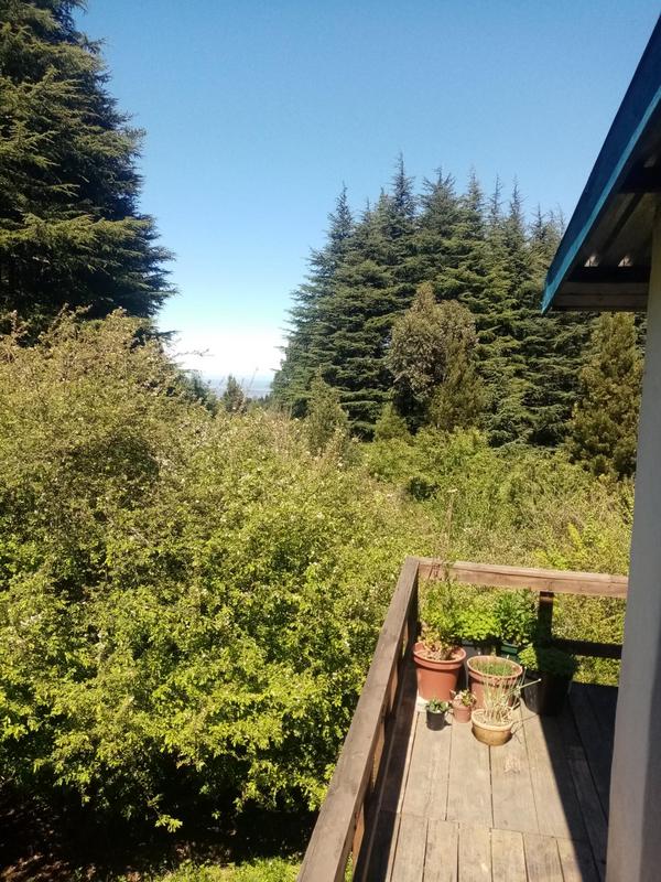 3 Bedroom Property for Sale in Hogsback Eastern Cape